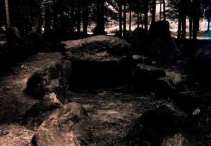 Klecker Wald: Hünengrab, Steintor