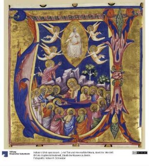 Initiale V (Vidi speciosam ...) mit Tod und Himmelfahrt Maria