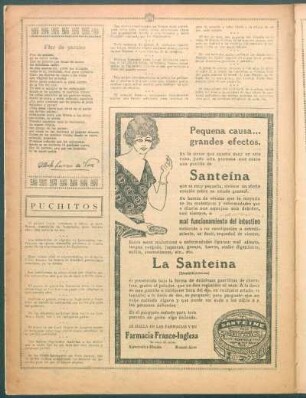 Flor de paraíso