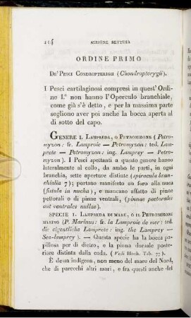 Ordine Primo. De' Pesci Condropterigii (Chondropterygü).