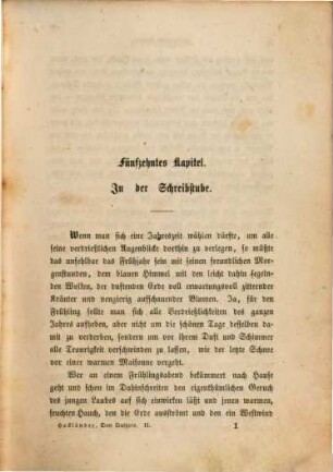 Der neue Don Quixote, 2