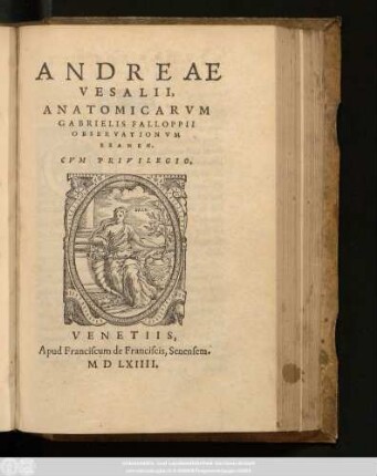 Andreae|| Vesalii,|| Anatomicarvm|| Gabrielis Falloppii|| Observationvm|| Examen