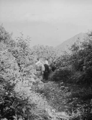 Renge-Onsen im Chubu-Sangaku Nationalpark : Buschvegetation. Ansicht mit Besuchern