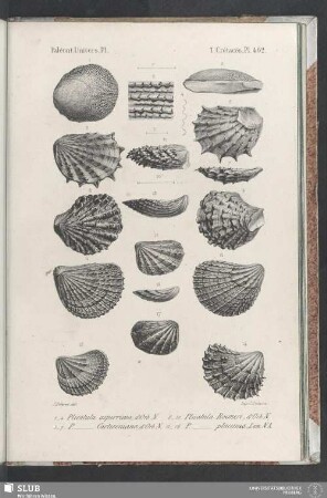 Pl. 462