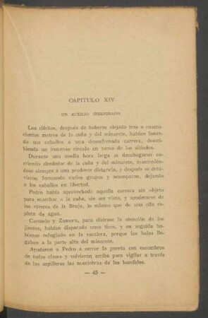 Capítulo XIV - Un auxilio inesperado