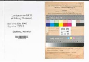 Entnazifizierung Heinrich Steffens, geb. 20.06.1904 (Desinfektor)