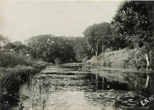 Ritzehüttler Schlossgraben