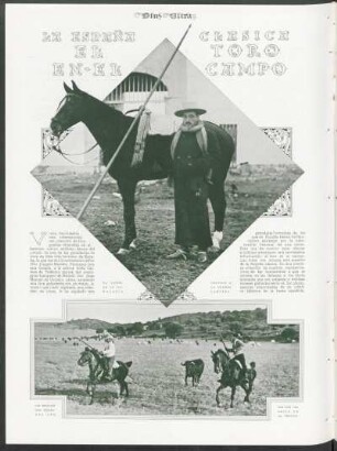 La España clasica - El toro en el campo