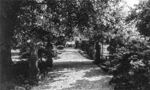 Kraśnik Dolny (Nieder-Schönfeld). Schloss Nieder-Schönfeld. Park, Weg