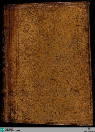 Lateinisches Stundenbuch - Cod. St. Peter perg. 99