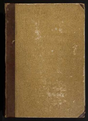 2/2 [fol. 313-313']: 1579 Dezember 10
