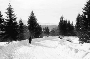 St. Peter; Sägendobel: Neue Kandelstraße; Serpentine bei km 4; Kurve im Wald
