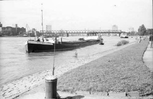 Mannheim: Schlepper am Rheinkai
