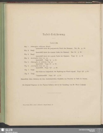 Tafel-Erklärung: Tafel III
