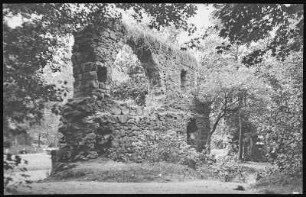 Grimma. Nimbschen Klosterruine