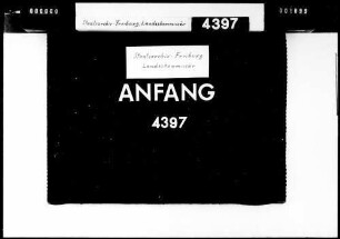 Farren- und Eberhaltung auf dem Hofgut Storzeln