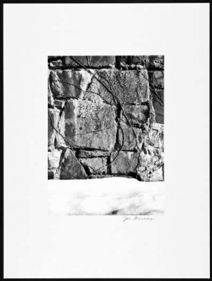 Foto, Bensberg