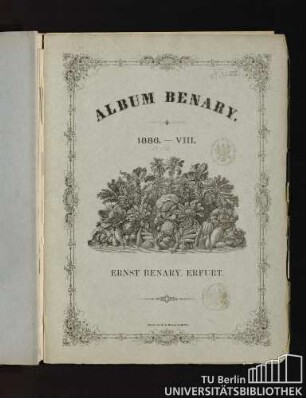 Album Benary. 1886. - VIII. 29 - 32. Ernst Benary, Erfurt.