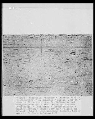 Mastaba des Ti — Pfeilerhof — Relief