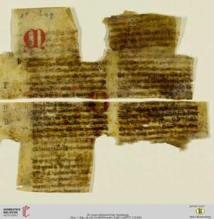 Sermones (Excerpta)