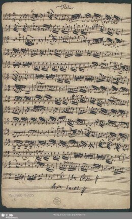 Violino. [Solo]