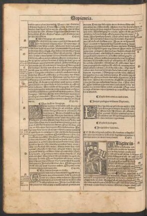 Incipit liber sapientie.
