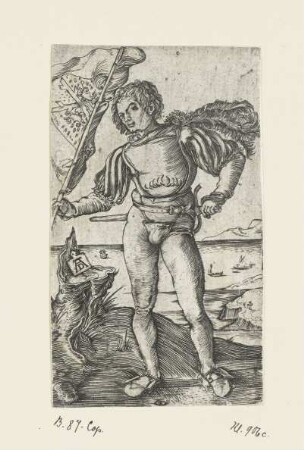 Fahnenschwinger
