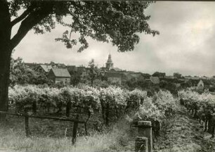 Frankweiler bei Landau