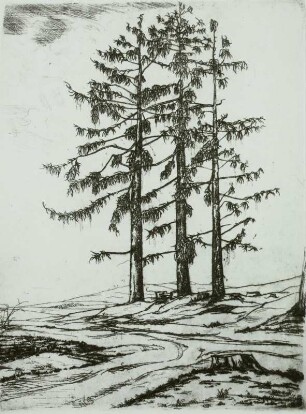 3 Lärchen (Landschaft)