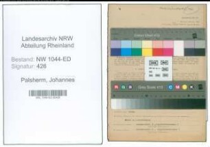 Entnazifizierung Johannes Palsherm , geb. 04.04.1895 (Lehrer)