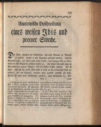 Anatomische Beschreibung eines weißen Jbis und zweener Störche