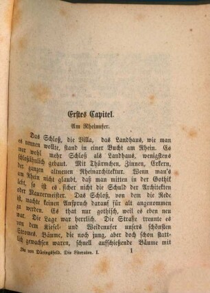Die Literaten : socialer Roman, 1
