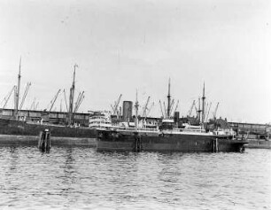 Rundfahrt im Hamburger Hafen