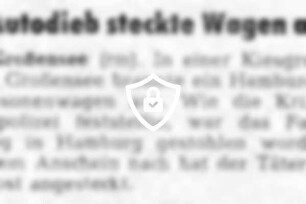 Autodieb steckte Wagen an