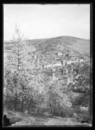 Blick Richtung Spitzer Turm, Innenstadt und Burg