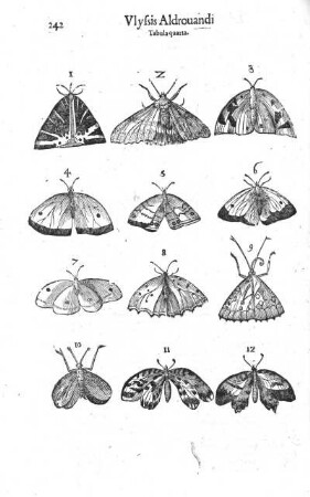 Tabula quarta