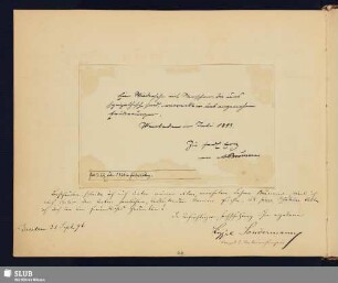 Sondermann, Luise; 1896 [Texteintrag]