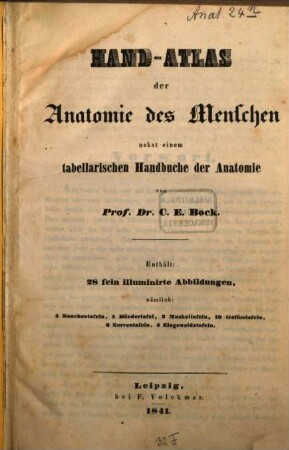 Handatlas der Anatomie des Menschen nebst einem tabellarischen Handbuche der Anatomie ; enthält 28 fein illuminierte Abbildungen