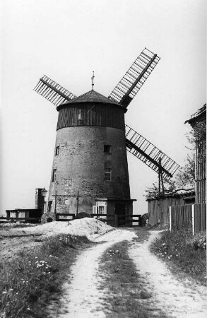 Machern-Püchau. Turmholländer, Baujahr 1850
