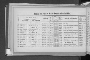 Hamburger See-Dampfschiffe