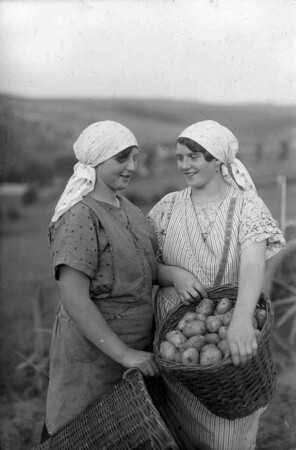 Bauersfrauen bei der Kartoffelernte