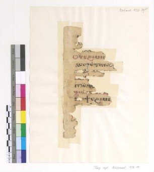 Liturgy (Response of the Gospel) + Aspasmos