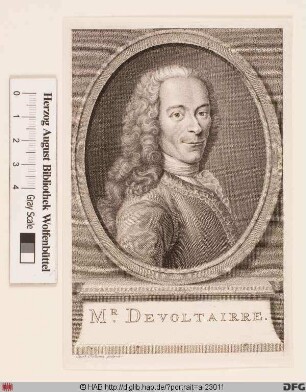 Bildnis Voltaire (eig. François-Marie Arouet)