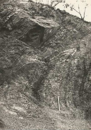 Ordovizischer Kieselschiefer, varistisch gefaltet. Heukewalde südöstlich Ronneburg, Hinterer Bruch am Eisenberg