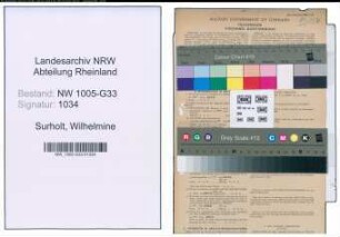 Entnazifizierung Wilhelmine Surholt , geb. 03.07.1889 (Lehrerin)