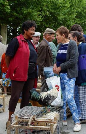Frankreich. Bourgogne. Saone et Loire. Louhans. Bresse. Geflügelmarkt