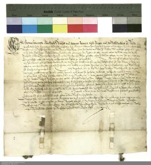 Verleihung von Ackerland bei der Ziegelmühle in Fulda an Matthäus Pfahe durch Burkhard Stumpf und Johannes Johannis