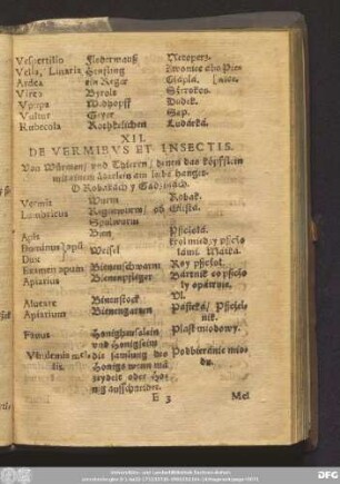XII. De Vermibus Et Insectis. Von Würmen/ vnd Thieren/ denen das köpfflein mit einem äderlein am leibe hanget. O Robakach y Gadzinach.