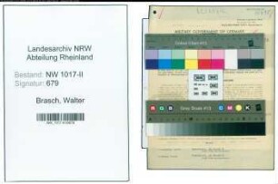 Entnazifizierung Walter Brasch , geb. 19.04.1913 (Werkzeughaendler)