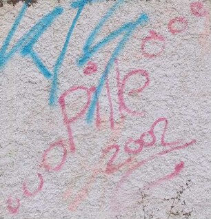 Pille 2002